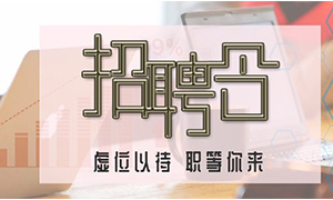 服務商戶，致力發(fā)展—安徽分公司合肥濱湖店攜手優(yōu)質(zhì)商戶人才招聘會 
